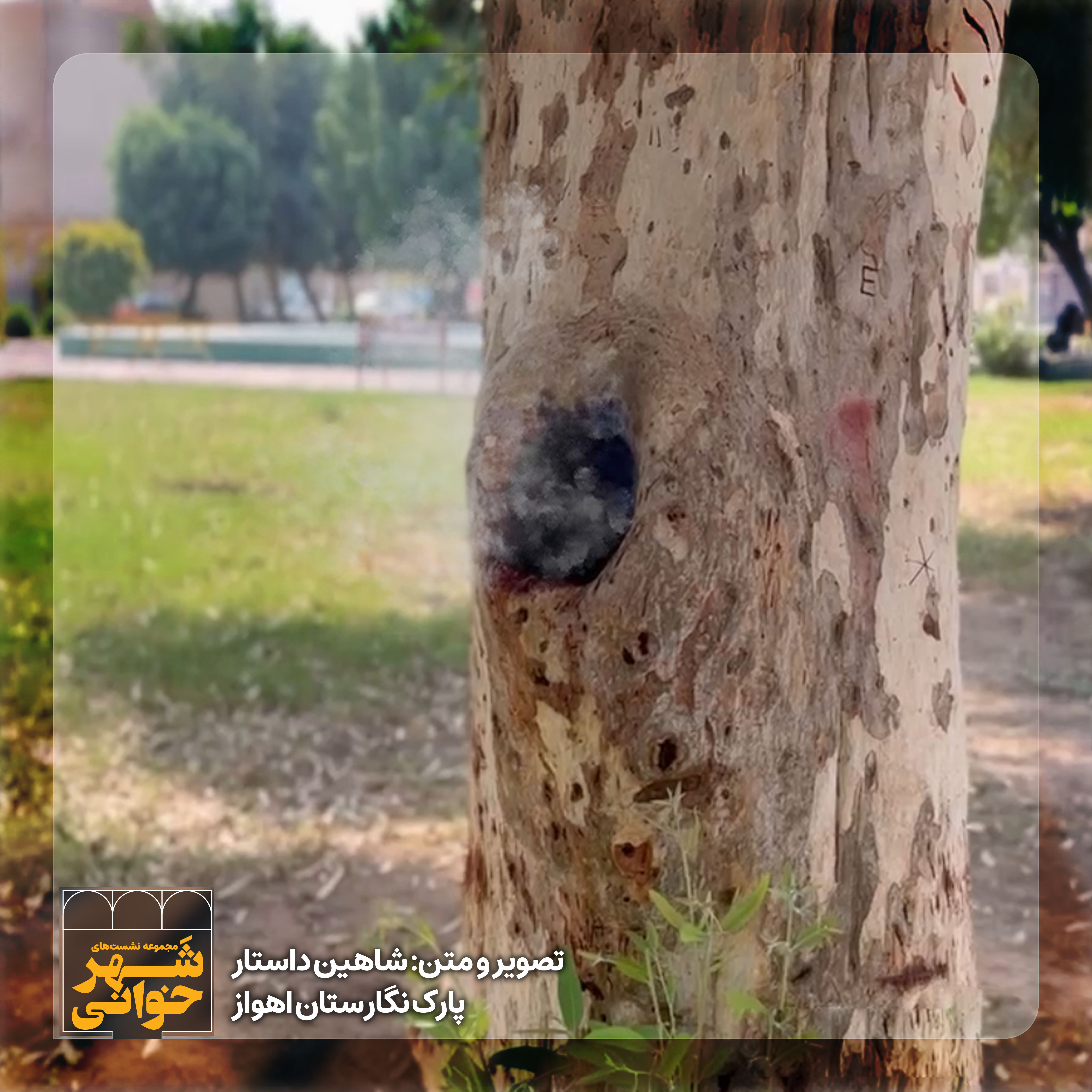 تصویر آلبوم